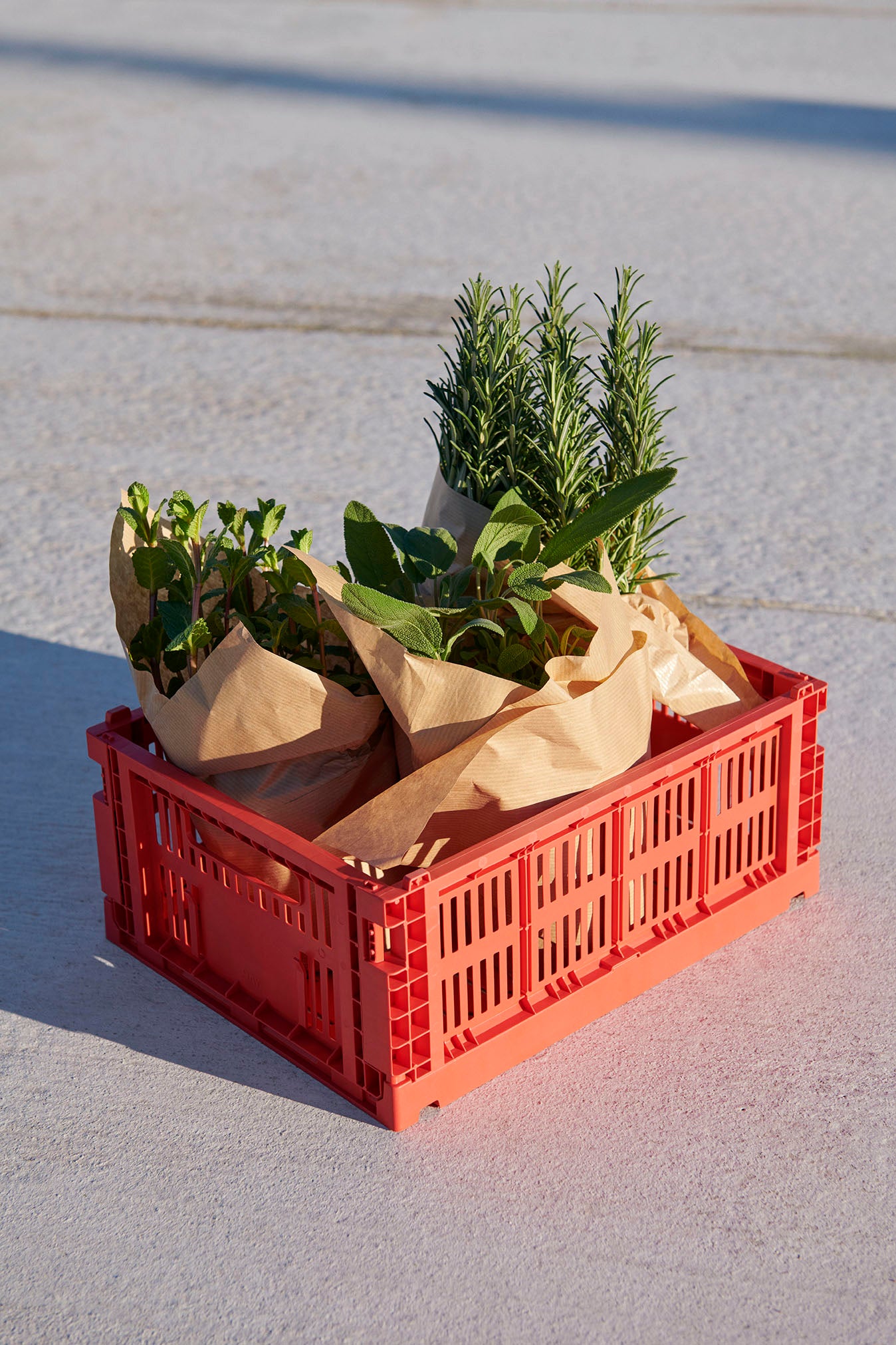 COLOUR CRATE M / 2023
