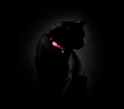 Cat Collar / Lumino Lux -Neon