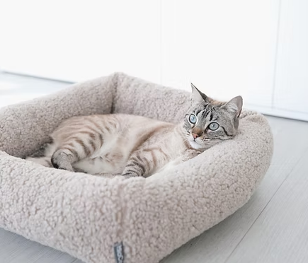 MiaCara / Senso (Cat Bed)
