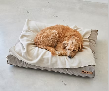 MiaCara / Unica Mサイズ