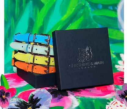 cat collar louis orange