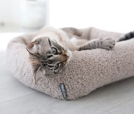 MiaCara / Senso (Cat Bed)
